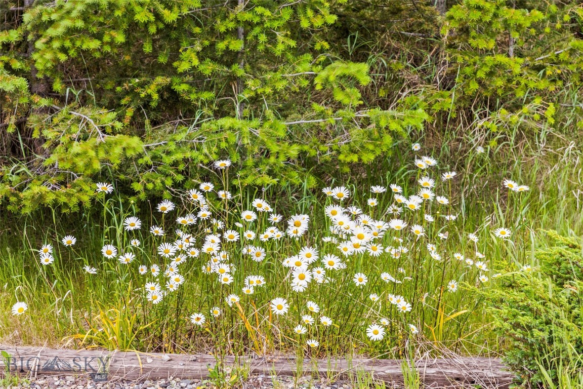 Quinn Creek Properties - Residential