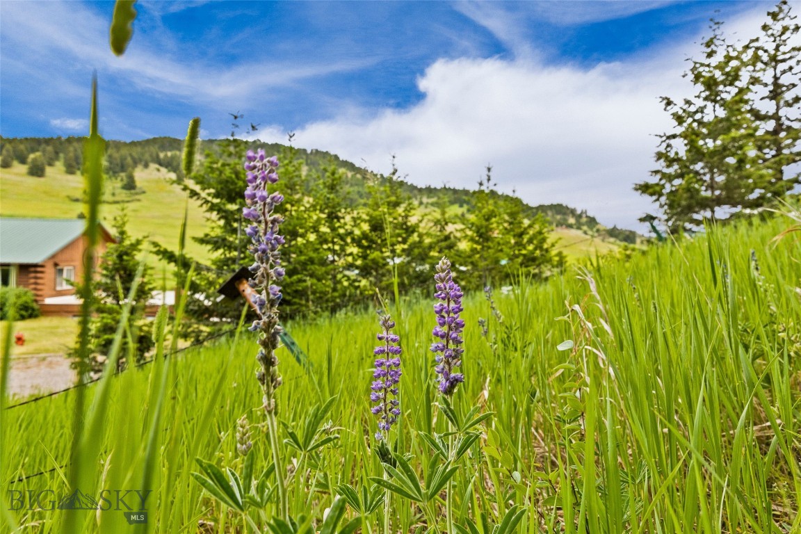 Quinn Creek Properties - Residential