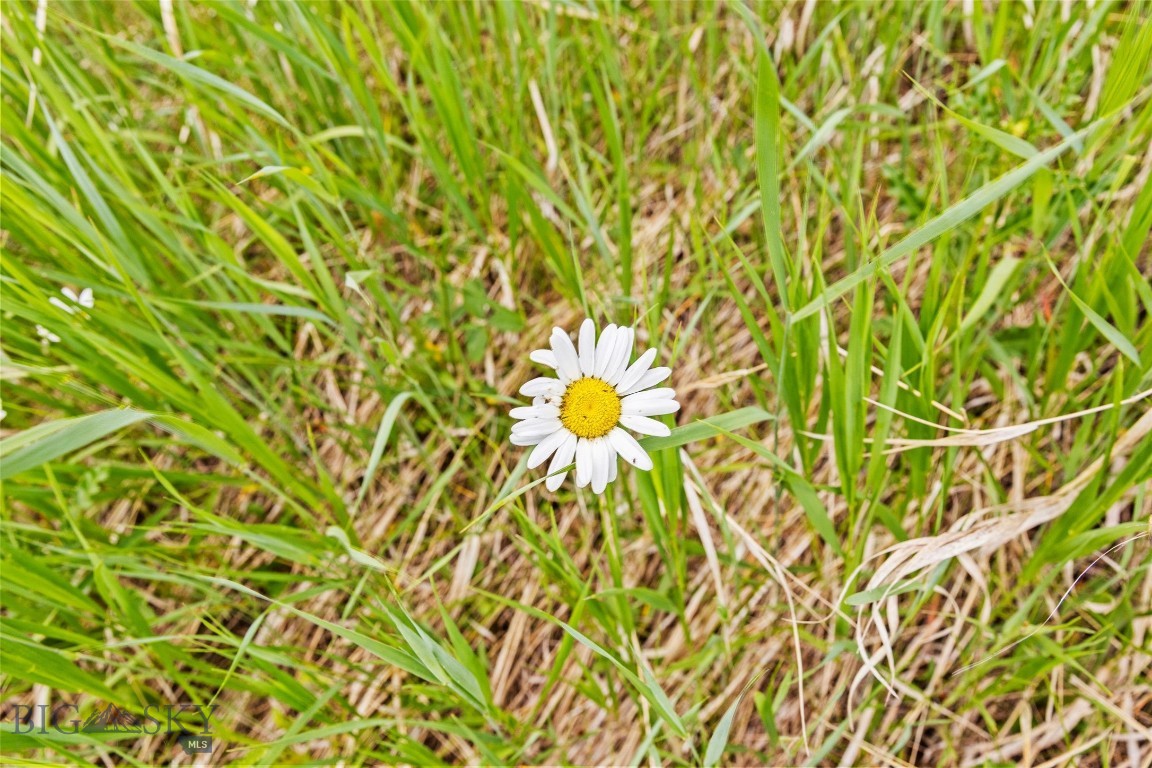 Quinn Creek Properties - Residential