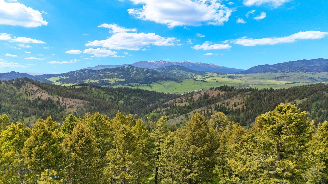 Timberline Creek - Residential