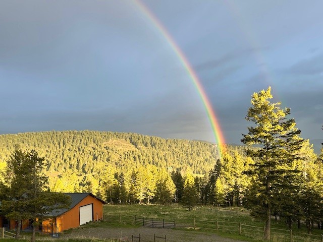 Timberline Creek - Residential