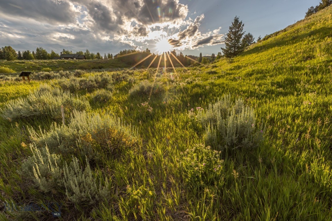 Meadow Village - Land
