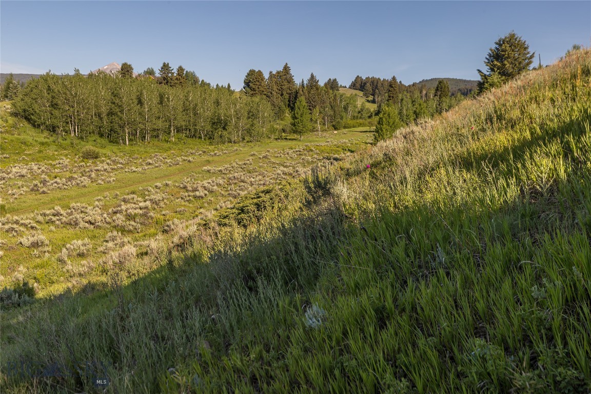 Meadow Village - Land