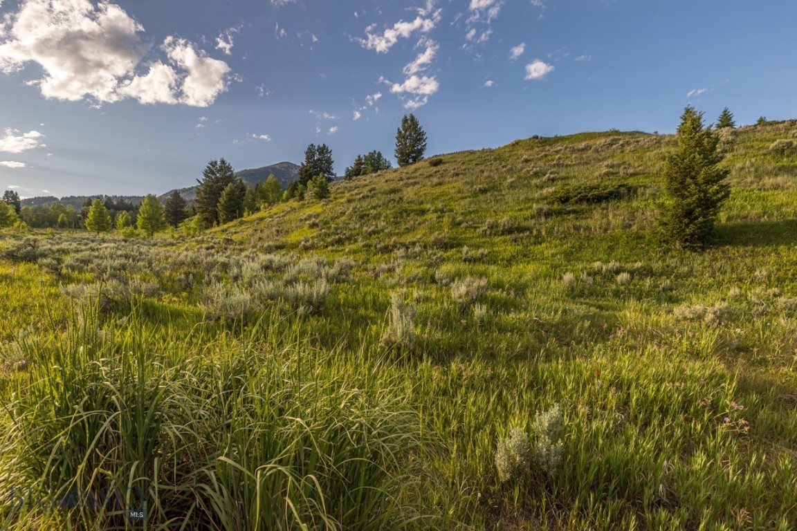 Meadow Village - Land