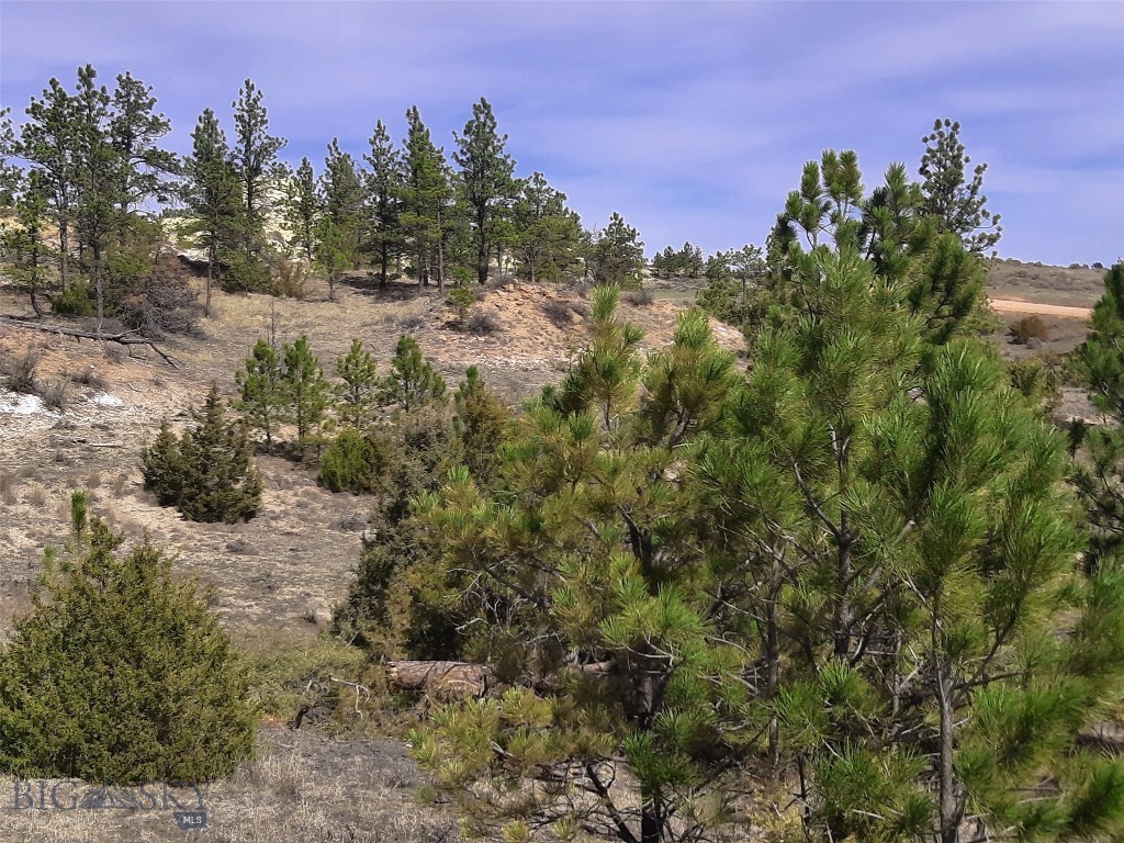 3808 Moon Creek Road