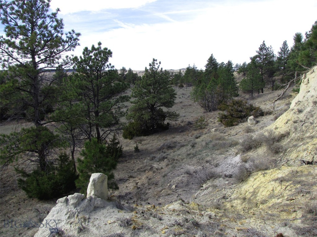 3808 Moon Creek Road