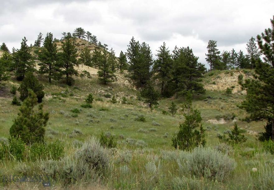 Looking for your private escape in Montana? Here are 20 acres approximately 30 miles southwest of Miles City with Ponderosa Pine trees, junipers, open grasslands and great vista views. Power lines are along the south boundary and fiber-optic lines are along the county road along with phone. County road access is maintained year-round. Property borders the Moon Creek county road and is 18 miles south of Interstate 94. A driveway with the neighbor can potentially be shared that leads to where there is a power pole. Great area for hunting mule deer, antelope, elk and turkeys. Just a mile south of BLM land and 640 acres of state public land. Folks do in live in the area year-round and enjoy the peace and quiet of being far from the city lights. There is a neighbor to the south and cabin on the property to the north.  It is only about 20 minutes west of the Tongue River. Call for details. Owner may finance with a large enough down. Mild Covenants, but no HOA for enforcement.