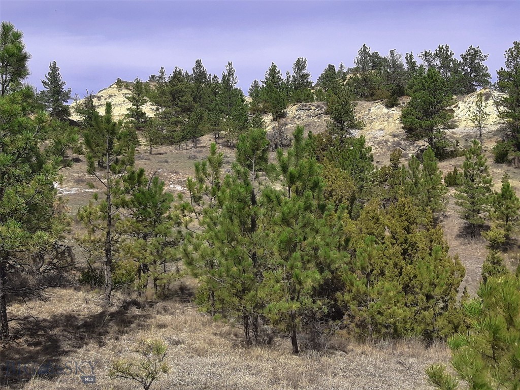 3808 Moon Creek Road