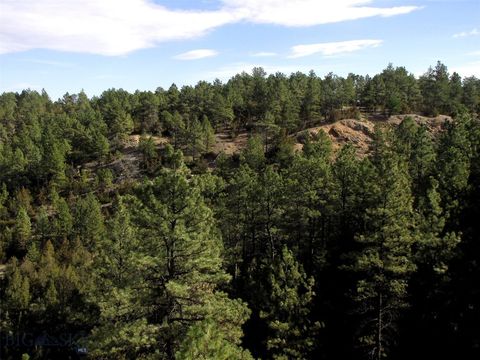 4829 Moon Creek Road MT 59301