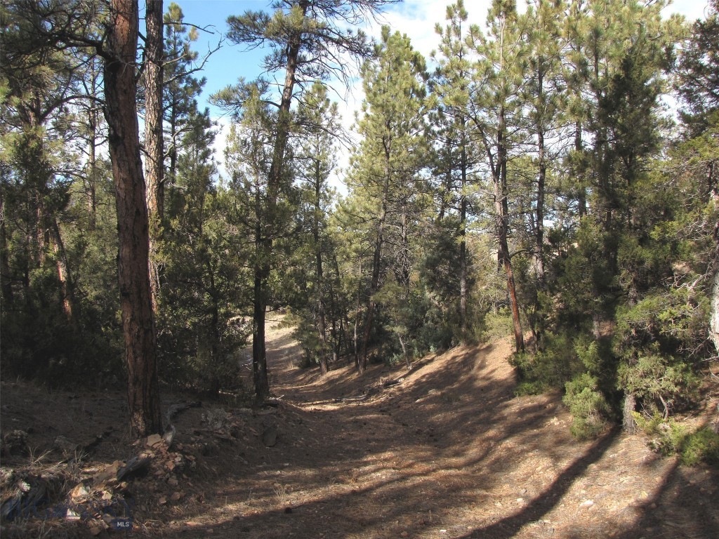 4829 Moon Creek Road