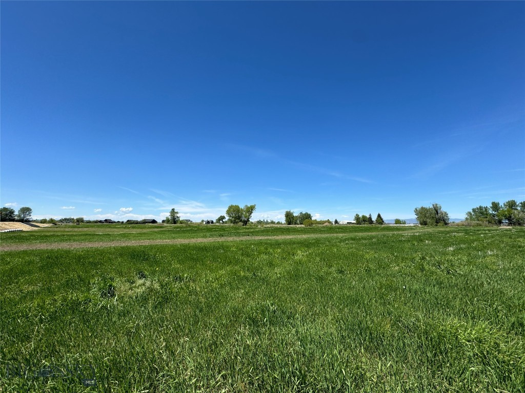 Bridger Shadows West - Land