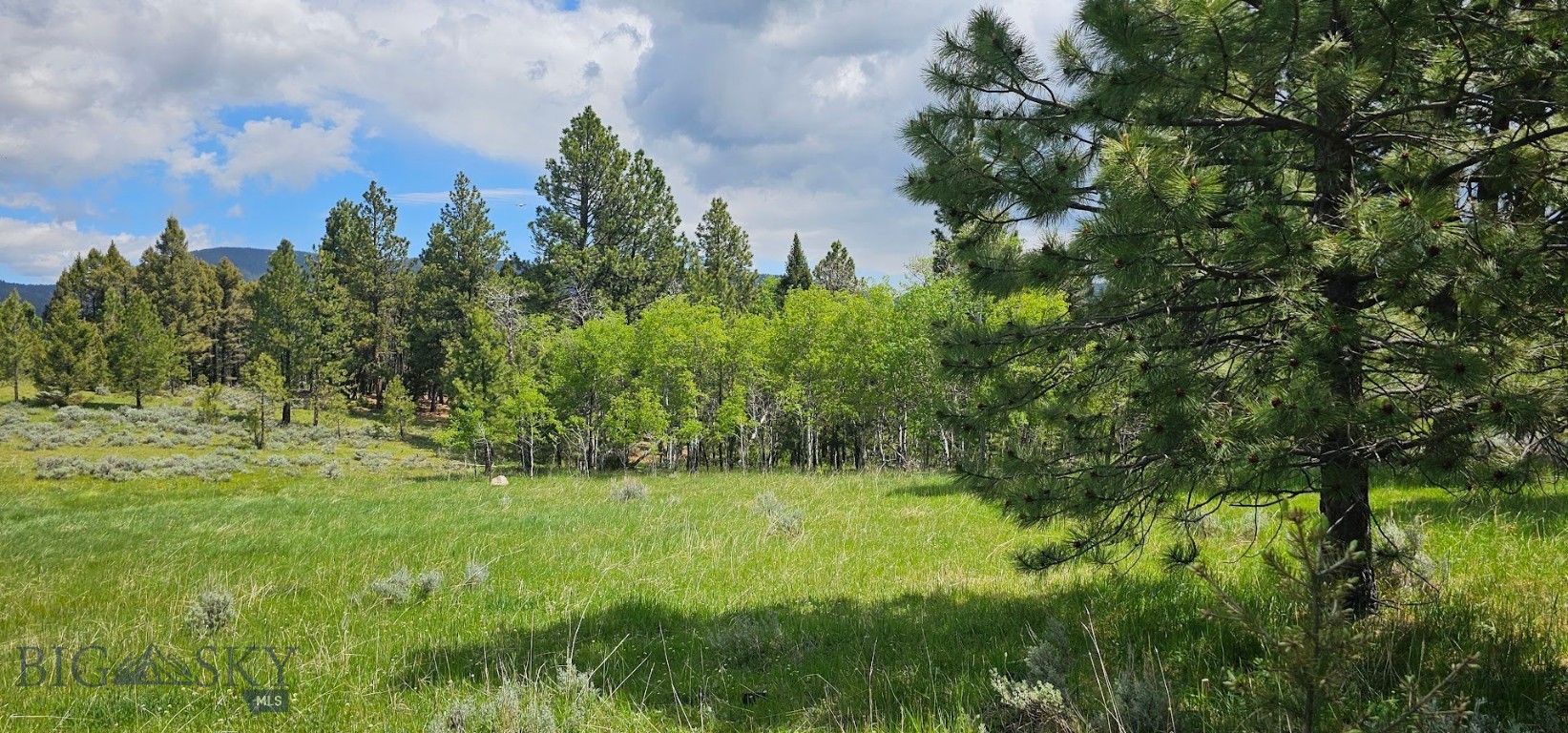 12 Tract, Hall Creek