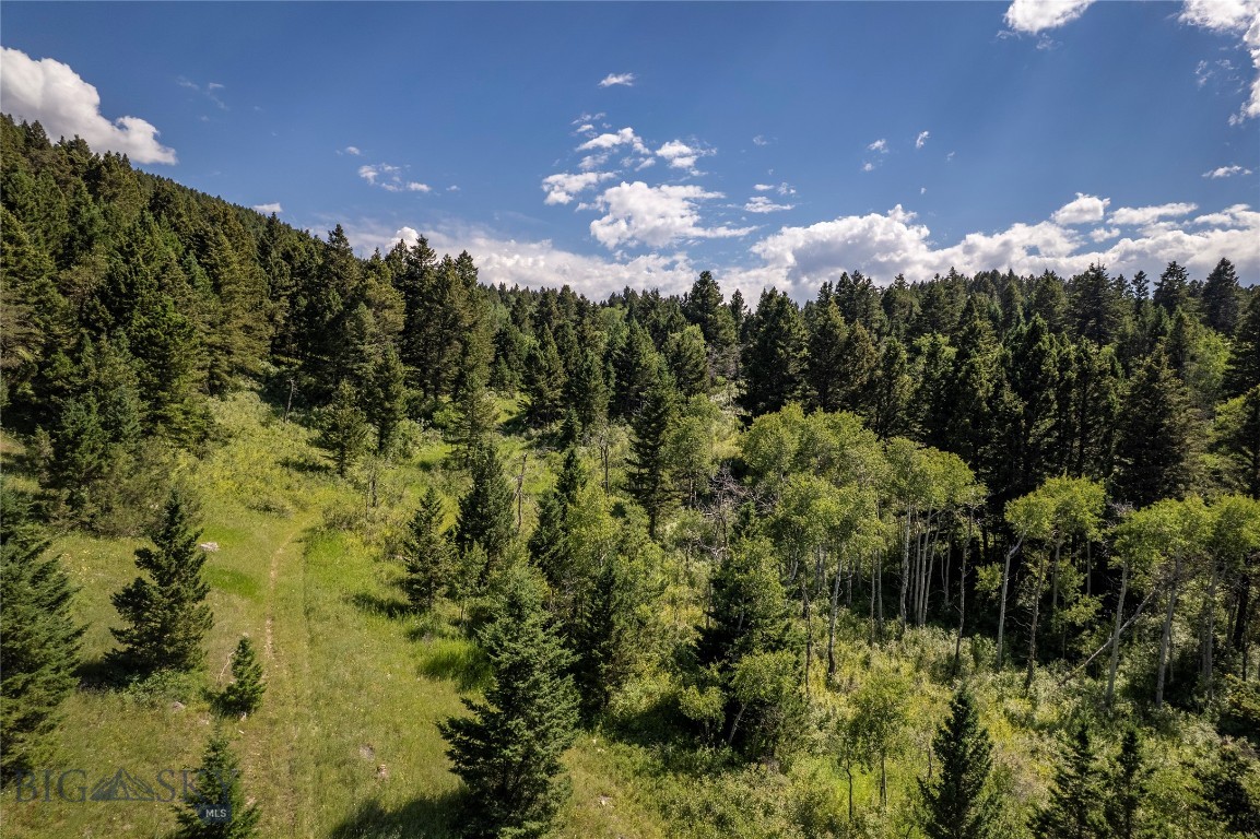 Yellowstone Basin Properties - Land