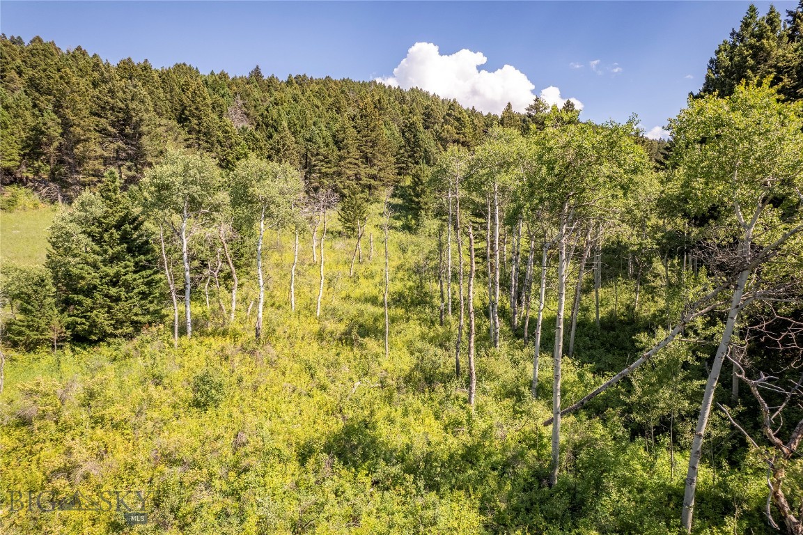 Yellowstone Basin Properties - Land