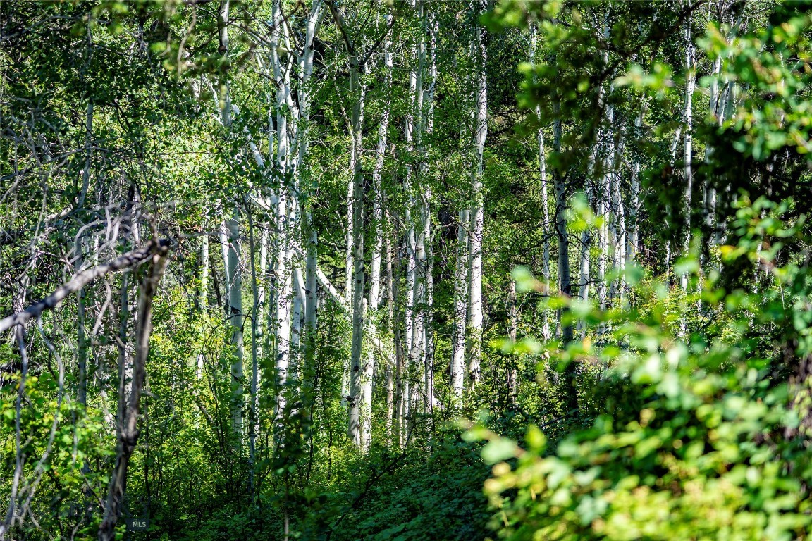 Yellowstone Basin Properties - Land