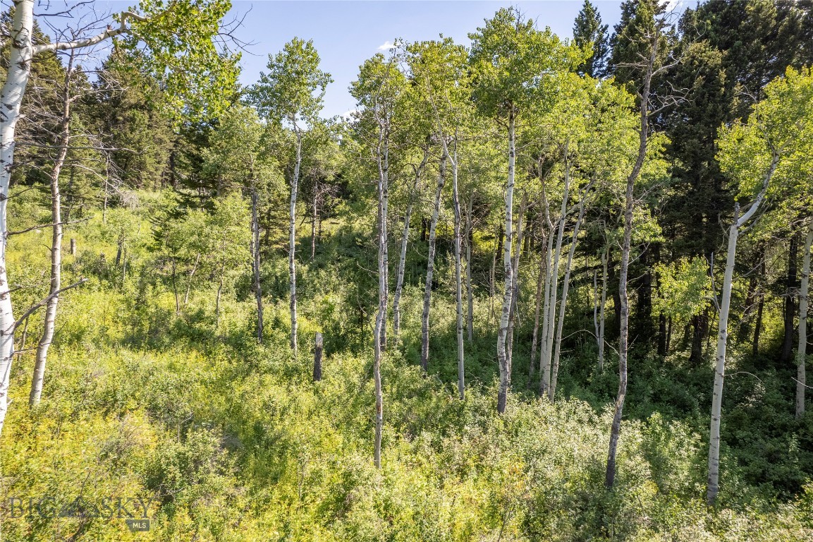 Yellowstone Basin Properties - Land