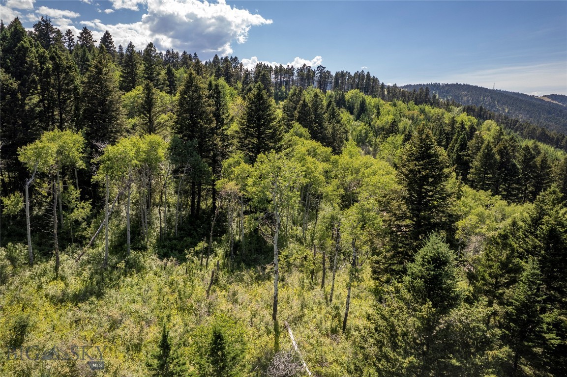Yellowstone Basin Properties - Land