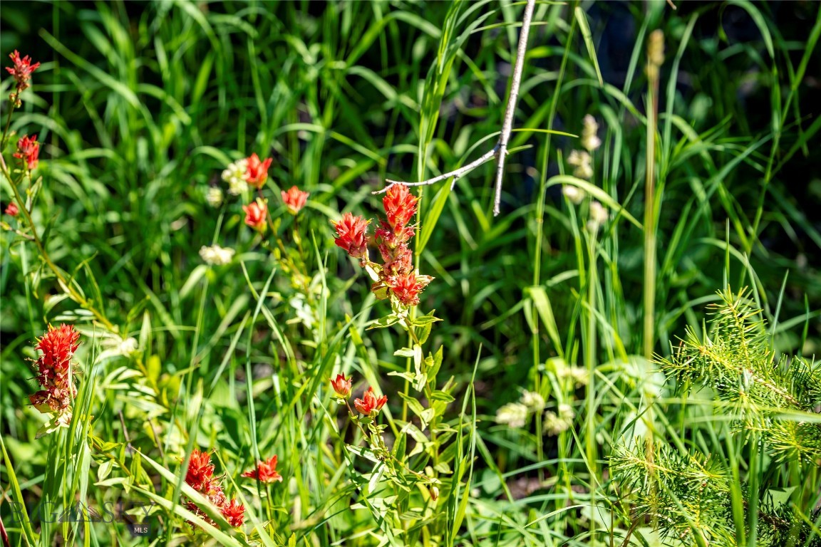 Yellowstone Basin Properties - Land