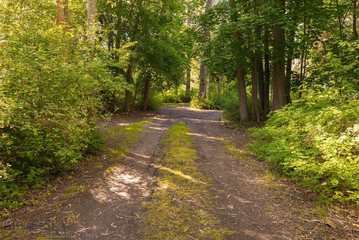 Minor Subdivision - Residential