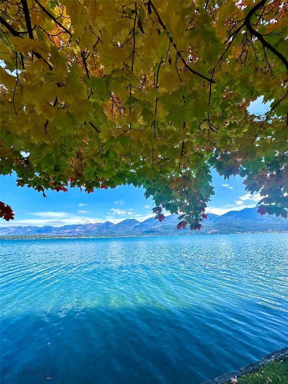 Minor Subdivision - Residential