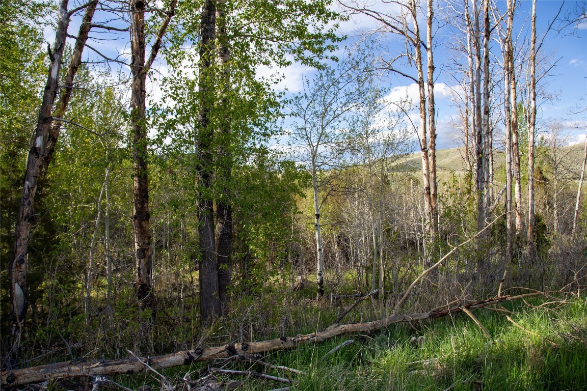 Other - Land