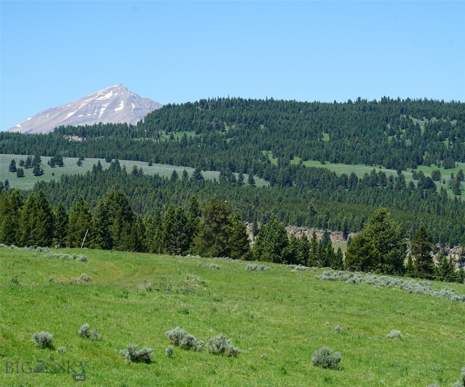 Other - Land