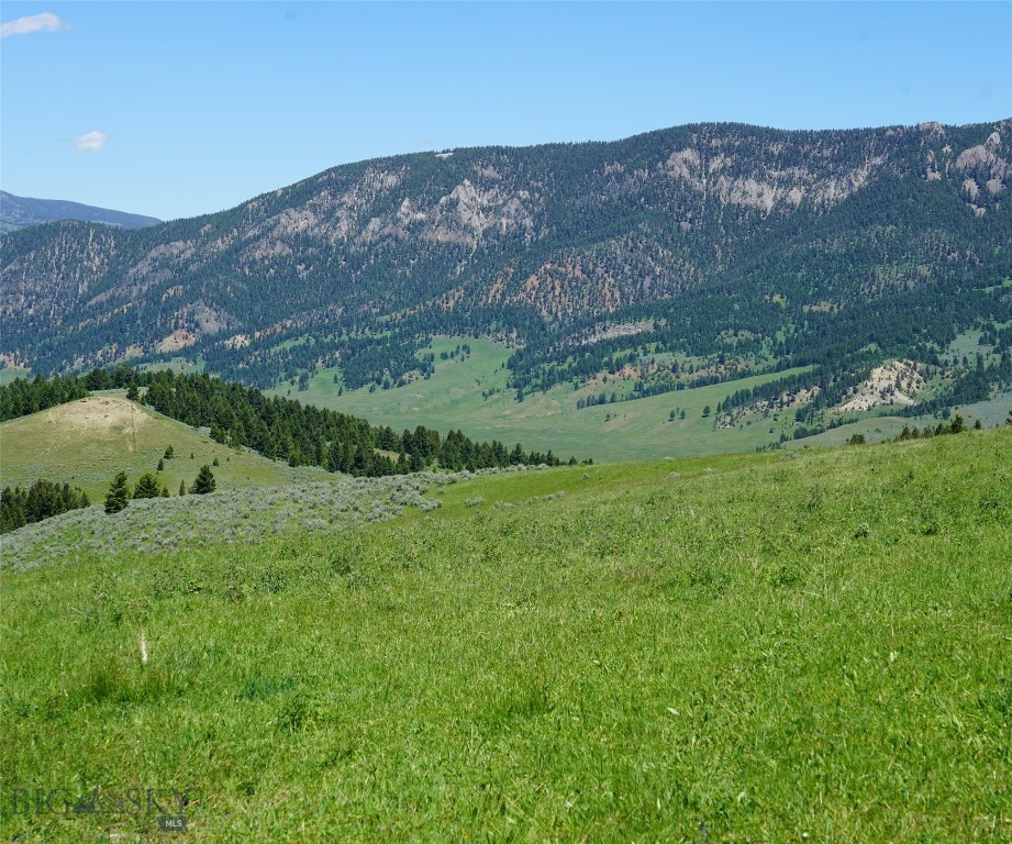 Other - Land