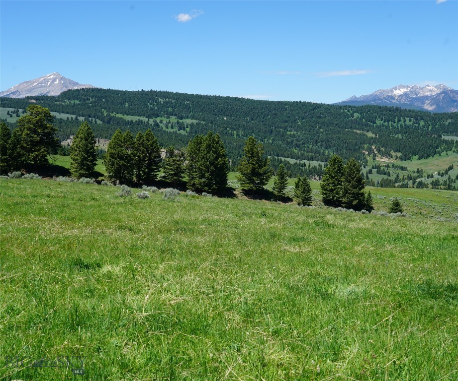 Other - Land