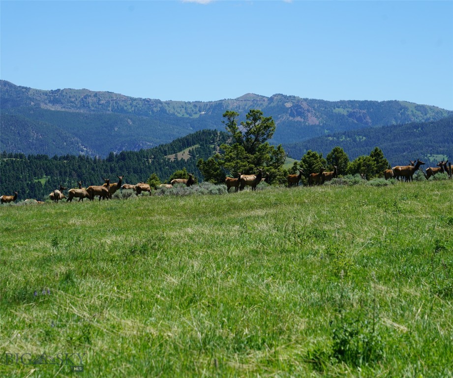 Other - Land