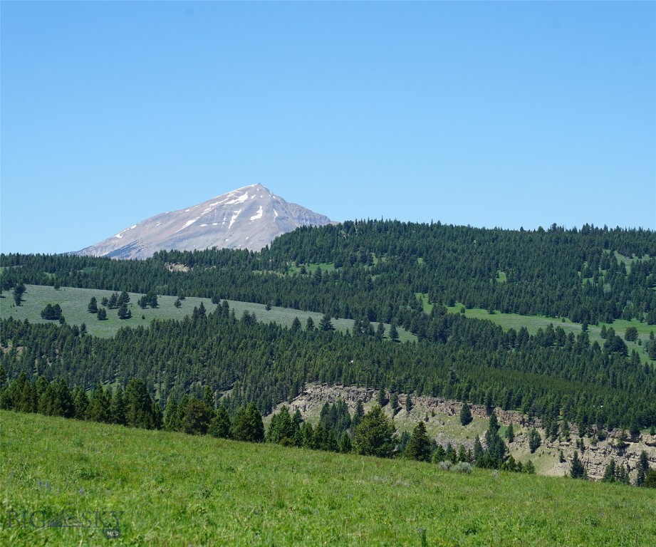 Other - Land
