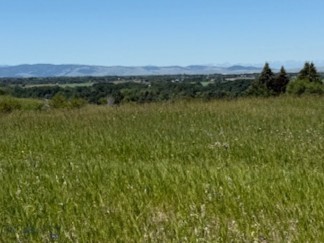 Other - Land