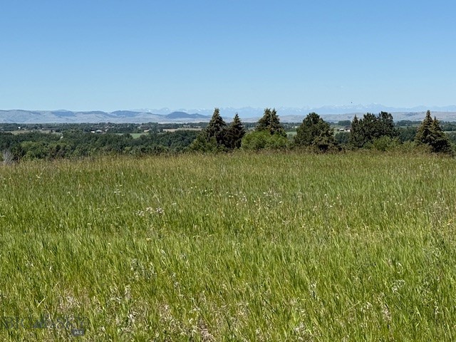 Other - Land