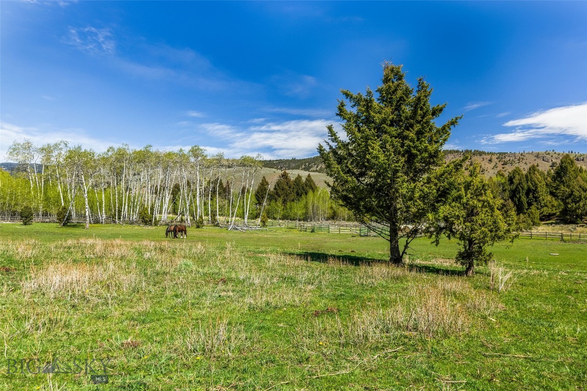 Grizzly Meadows - Residential
