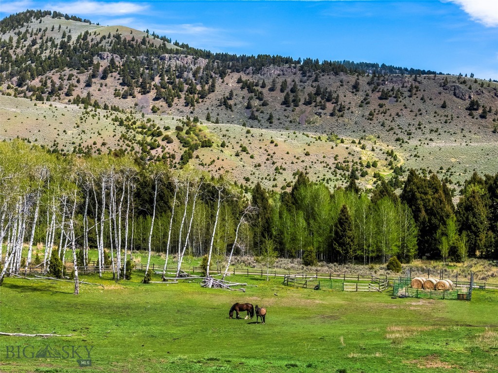 Grizzly Meadows - Residential