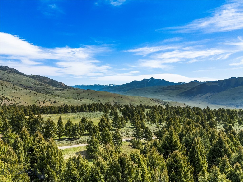 Grizzly Meadows - Residential