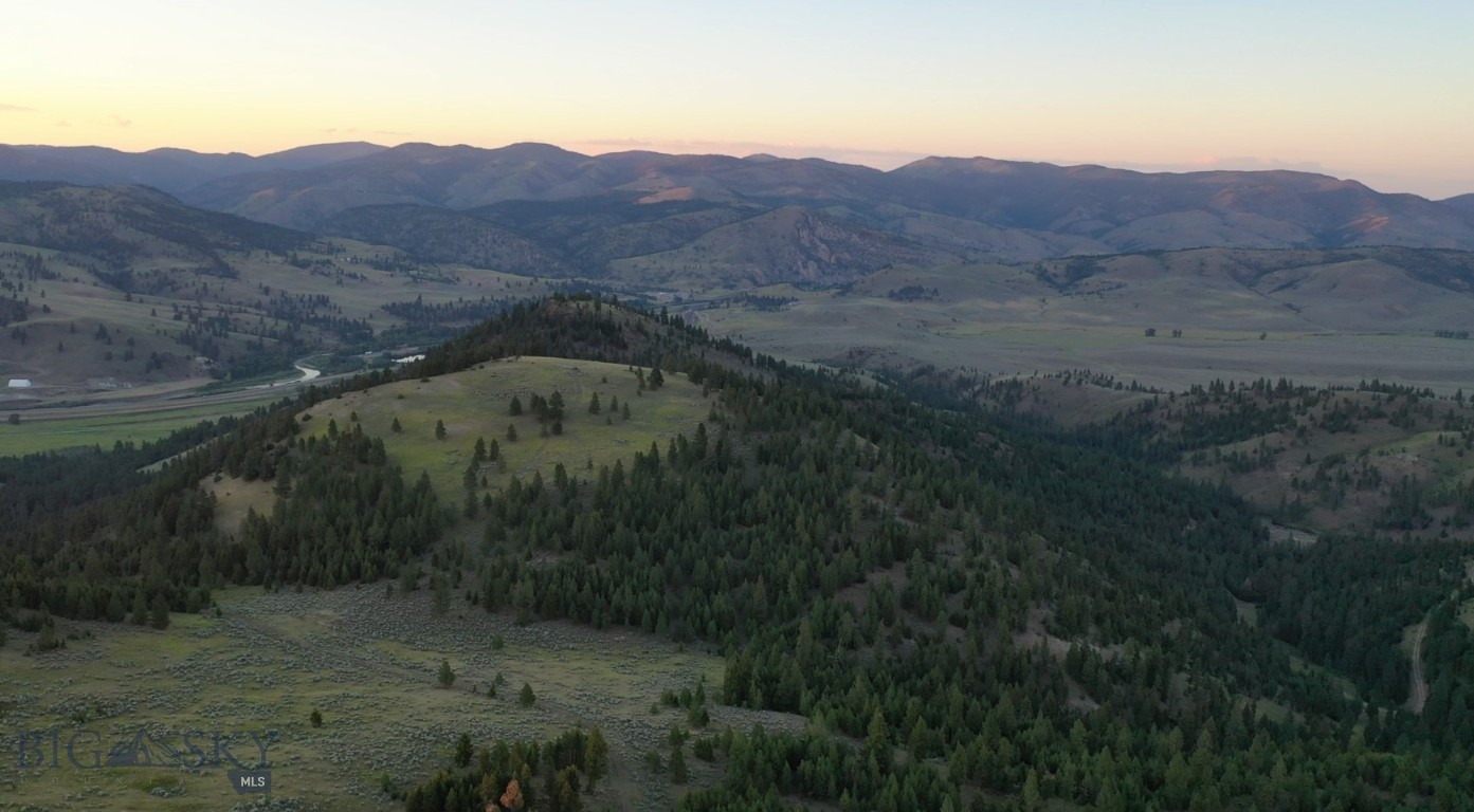 3 Tract, Bull Elk