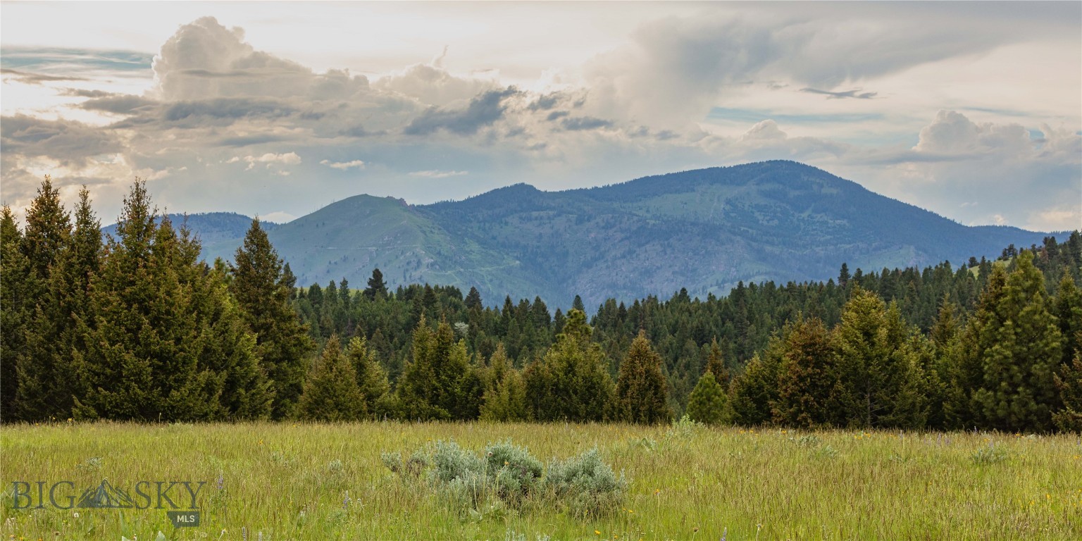 3 Tract, Bull Elk