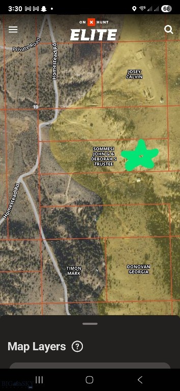 Ponderosa Pines - Land