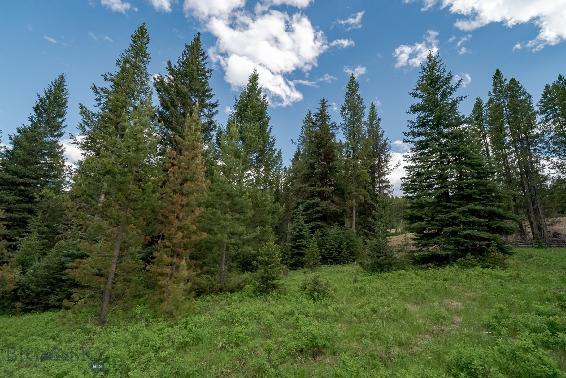 Lot 31 Colters Run Loop
