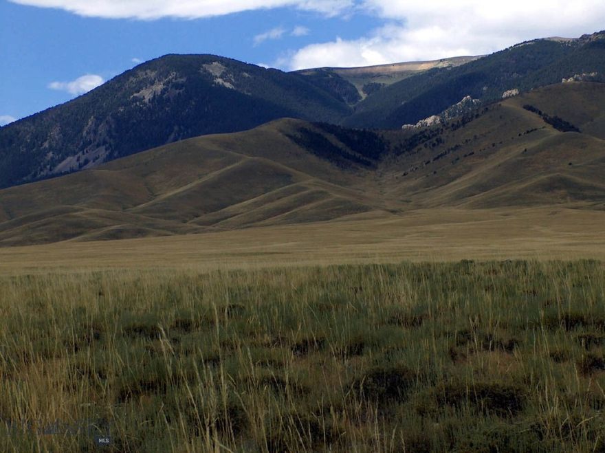 Escape to the Big Sky of Montana! These remote 39.8 acres offer Huge Beartooth Mountain views and are only a mile from the National Forest! Located on the flanks of the Beartooth Mountainss, it is a great location for your cabin where you can watch the sunrise and sunsets far from the city lights. The views surround you... the Beartooth Mountains to the west, Heart mountain and the Absarokas to the south and the Bighorns and Pryors to the east across the Clark's Fork of the Yellowstone River Valley! Hwy 72 is 9 miles to the east & Belfry 17 miles to the north. Some folks live in the area year-round, but the county only maintains Robertson Draw road as a low priority, so snow plowing may be needed in the winter. Power & phone are over 4 miles away, but lots of sun for solar! Wildlife in the area includes antelope, elk, deer, bears, grizzlies, wolves & sage grouse, while higher up moose, mountain goats and bighorn sheep. Mild covenants, but no HOA. Additional 20 acres is available to south for a total of 59.8 acres.