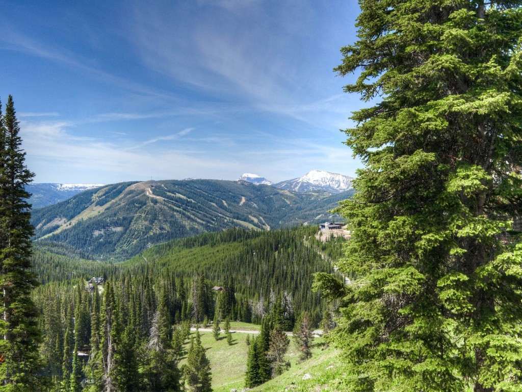 Beehive Basin - Residential
