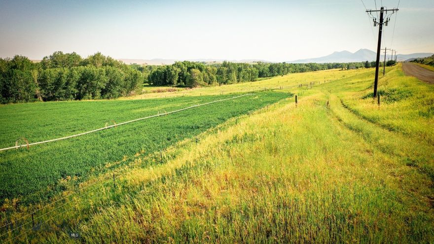 Whether you dream of building a cozy cabin, a weekend retreat, or simply a place to escape the hustle and bustle, the possibilities are as endless as the Montana Big Sky with this 0.382 acre tract of land that provides a blank canvas for your vision. Embrace the freedom to design your perfect rural haven just 10 minutes North of Wilsall at the Base of the Crazy Mountain Range minutes to the Shields River and close to world class elk hunting.