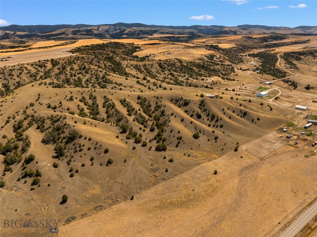 Ponderosa Pines - Land