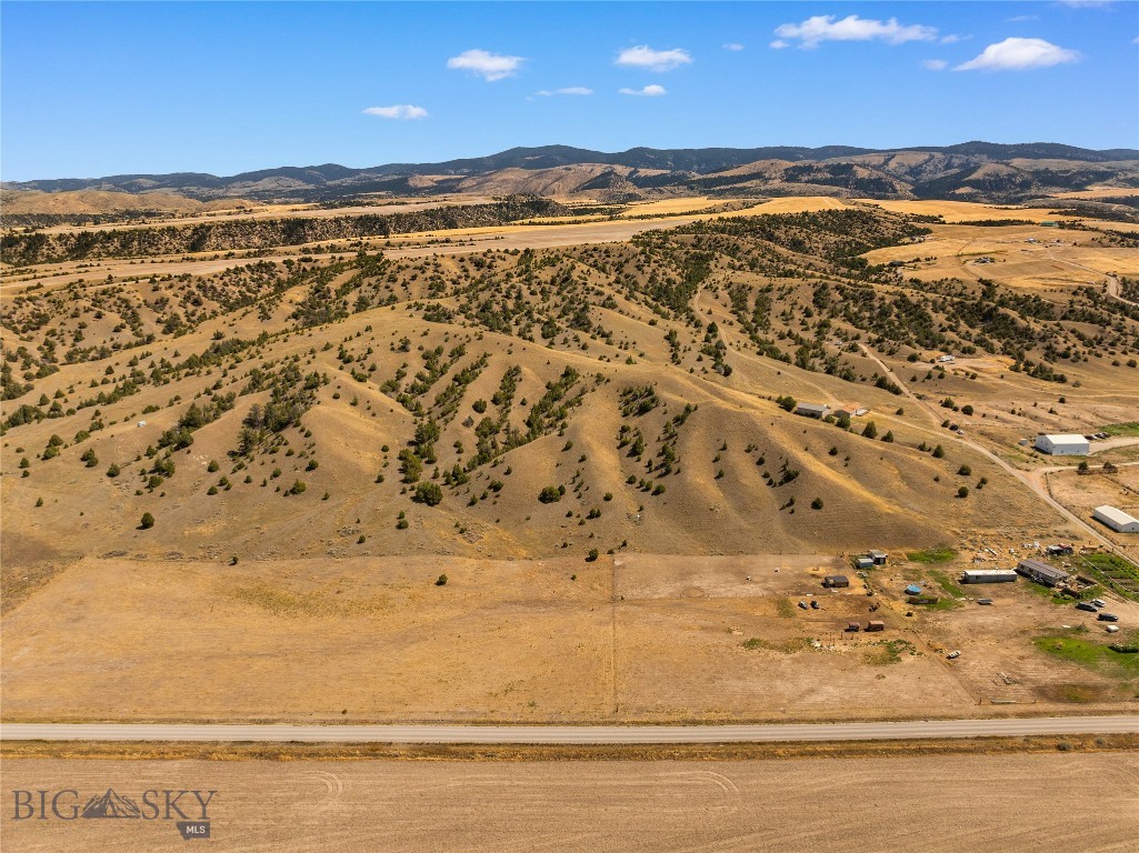 Ponderosa Pines - Land