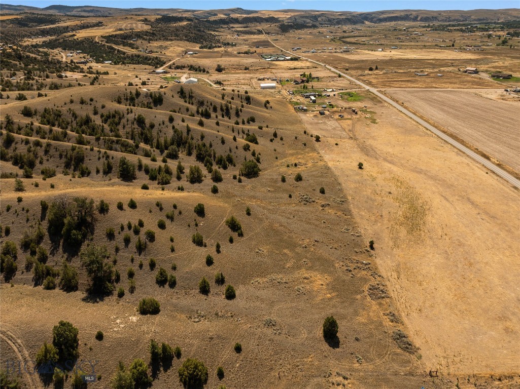 Ponderosa Pines - Land