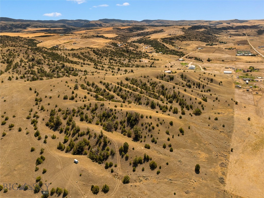 Ponderosa Pines - Land