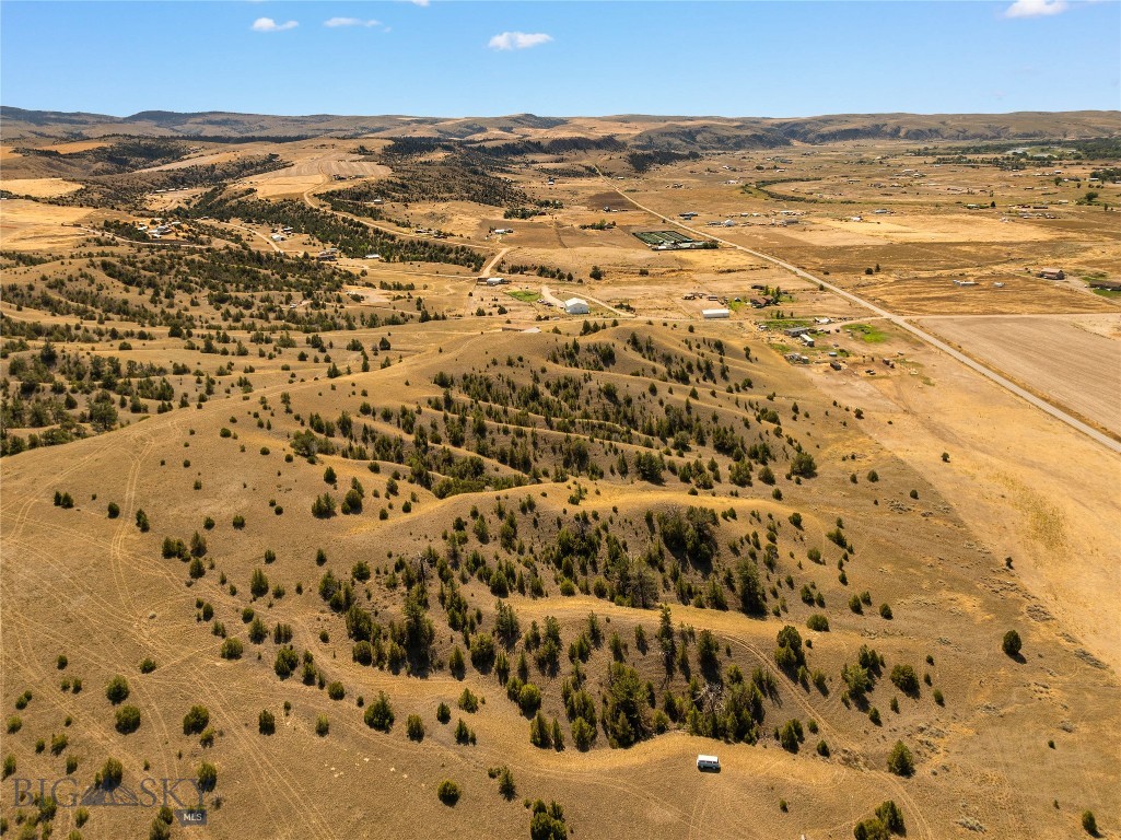 Ponderosa Pines - Land