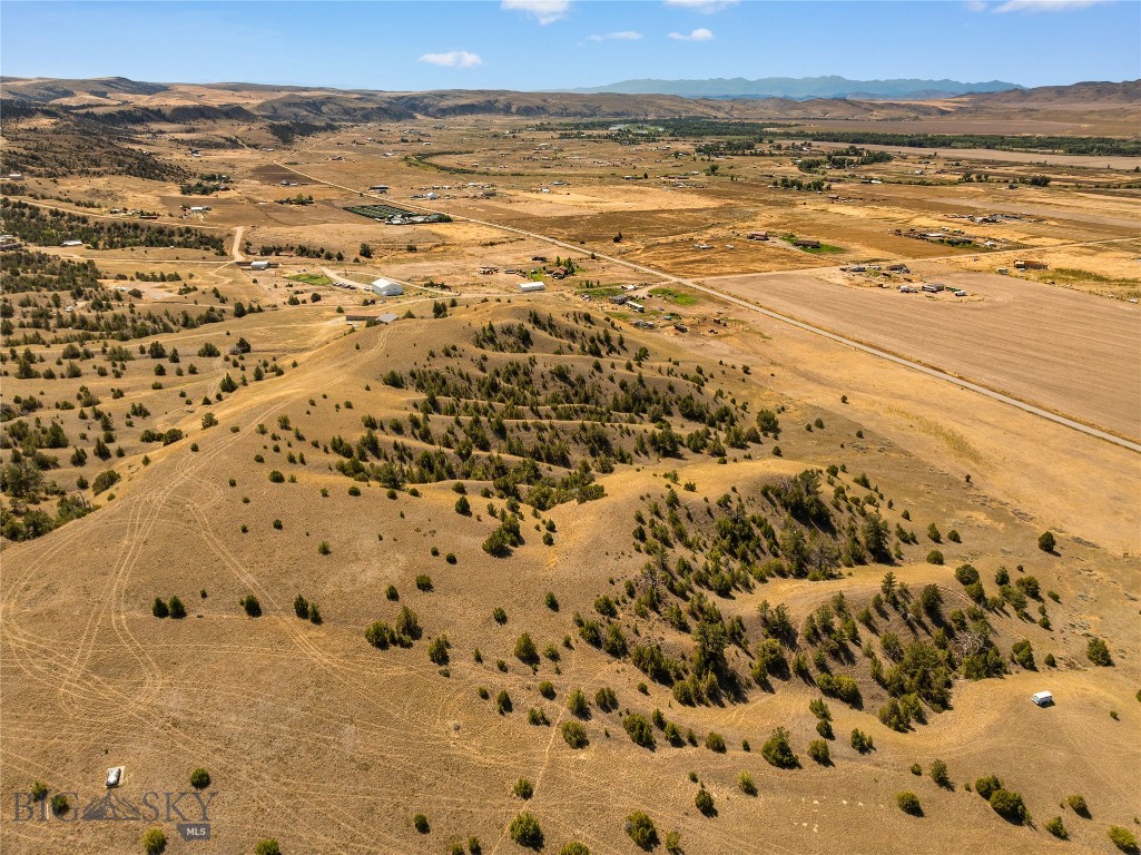 Ponderosa Pines - Land