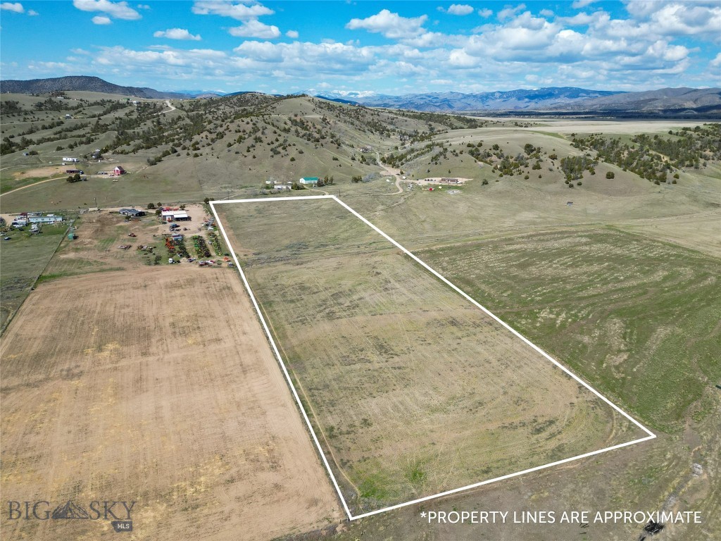 Ponderosa Pines - Land