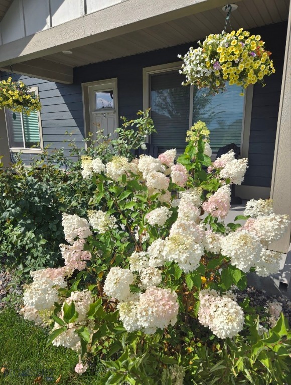 Ryen Glenn - Residential